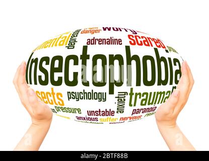 Insectophobia fear of insects word hand sphere cloud concept on white background. Stock Photo
