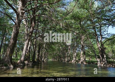 Frio river, Leakey, Texas Stock Photo - Alamy