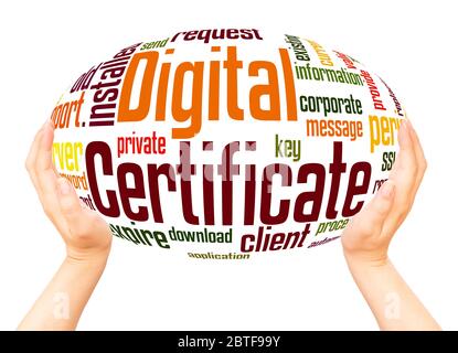 Digital certificate word hand sphere cloud concept on white background. Stock Photo