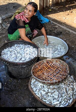 Cham people living in a village along Mekong River south of Kratie, Cambodia. Largest ethnic minority in Cambodia. Woman preparing fish to make paste Stock Photo