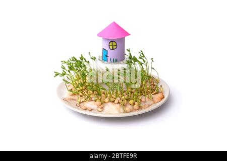simple paper craft concept for kid and kindergarten, DIY, tutorial, step2, paper house with garden art project, place the glass on a plate upside down, put grain in wet cotton and wait few days, toilet roll paper craft house Stock Photo