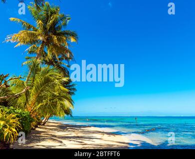 View of the sandy beach in the lagoon Huahine, French Polynesia. Copy space for text Stock Photo