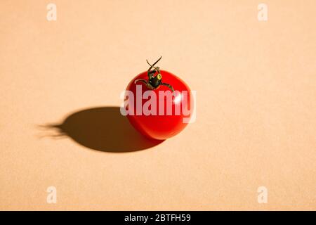 Single cherry tomato vegetable, fresh ripe food on minimal cream colored background, angle view Stock Photo