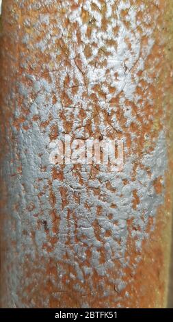 Metallic texture with cracked painted surface and silver distressed paint over brown background. Construction backdrop with copy space Stock Photo