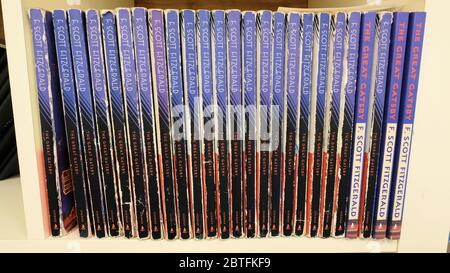 A row of the novel The Great Gatsby by American author F. Scott