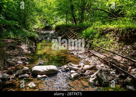 Old abandoned mining train rails in the dark forest Stock Photo