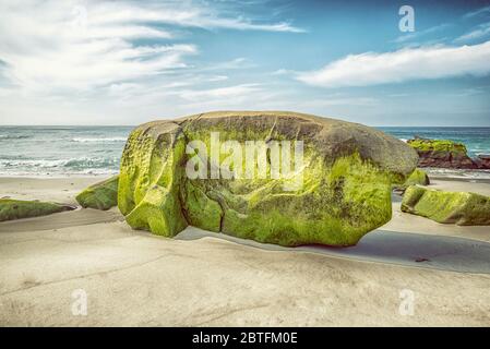 Rock formations on Windansea Beach on a  winter afternoon. La Jolla, California, USA. Stock Photo