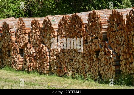 Round bales of brown firewood on a freshly mown green meadow, early in the sunny morning. Germany. Stock Photo