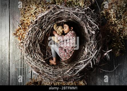 little girl sleeping peacefully and quietly in a nest, concept of protection and security for children, retro style colors, sign of love for children Stock Photo