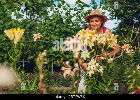 Senior woman taking care of flowers in garden. Middle-aged gardener smelling hugging lilies. Gardening concept Stock Photo