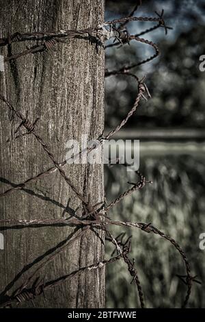 Old rusty barbed wire on a wooden post in dramatic colors. Expressive HDR. Stock Photo