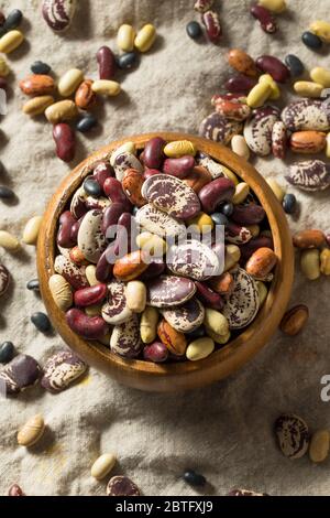 Raw Dried Organic Bean Assortment Ready to Cook Stock Photo
