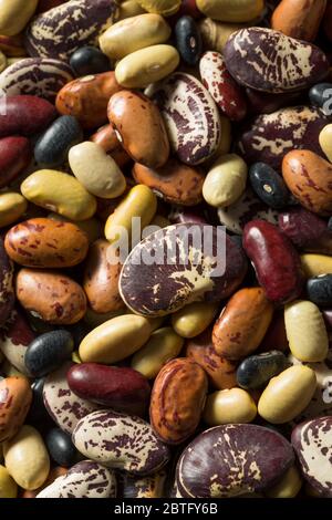 Raw Dried Organic Bean Assortment Ready to Cook Stock Photo
