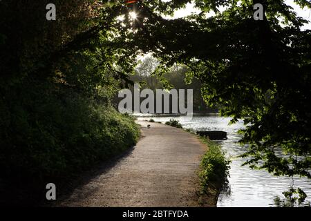 A path leading under a tree, around a lake in Bristol Stock Photo