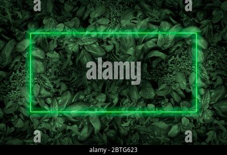 Glowing green neon frame on a leaves background. Copy space for your text. Template for invitation, advertising, poster, banner, flyer. Spring summer Stock Photo