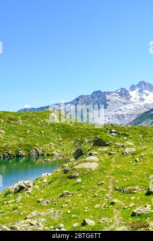 Alpine Lac de Cheserys, Lake Cheserys near Chamonix-Mont-Blanc in French Alps. Glacier lake with high mountains in the background. Tour du Mont Blanc trail. Green Alpine landscape. Vertical photo. Stock Photo