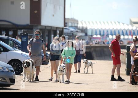 Hunstanton, UK. 25th May, 2020. Day Sixty Three of Lockdown, in Norfolk. Hunstanton looks glorious in the sunshine as these people take their dogs for a walk on late May Bank Holiday Monday. Since the partial lifting of lockdown people are now advised to Stay Alert and keep social distancing where possible. More people are now leaving home to exercise and many have taken the chance to visit parks and beauty spots. COVID-19 Coronavirus lockdown, Hunstanton, Norfolk, UK, on May 25, 2020 Credit: Paul Marriott/Alamy Live News Stock Photo