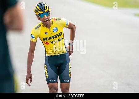 Maillot jumbo visma online 2020