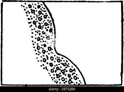 The typical representation of shores and low-water lines with gravel and rocks on a topographical map, vintage line drawing or engraving illustration. Stock Vector