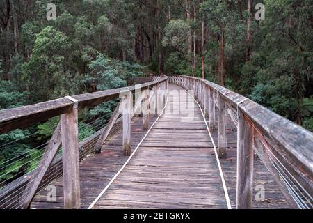 Historical Noojee Trestle Bridge - a legacy of the old railway originally built in 1919 Stock Photo