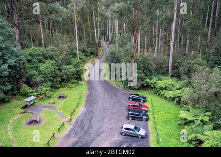Noojee, Victoria, Australia - View from the Historical Noojee Trestle Bridge - a legacy of the old railway originally built in 1919 Stock Photo