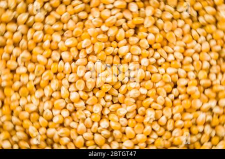 Beautiful background of popcorn for various uses. Popcorn kernels in defocused spiral close-up. Stock Photo