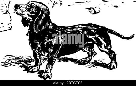 illustration vintage dog with engraving style Stock Vector Image & Art ...