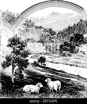 A landscape picture containing two sheep's, mountains and trees in background and also rainbow is showing, vintage line drawing or engraving illustrat Stock Vector