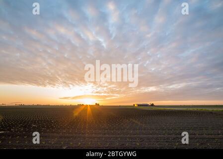 Beautiful cloudy sky over the wide open landscape of the west of the Netherlands, where the sun is about to set Stock Photo