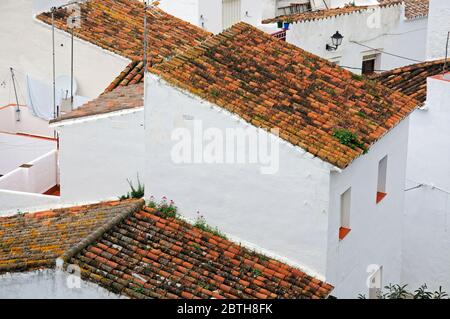 Townhouse rooftops in a traditional pueblo blanco, Casares, Cadiz Province, Andalucia, Spain, Euorpe. Stock Photo