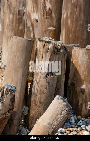 weather worn driftwood washed up on a beach at the seaside. sculptural wood. Stock Photo