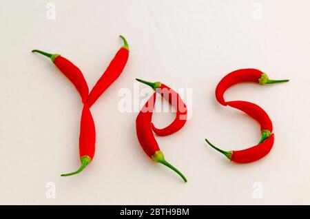 Sign or symbol Yes, made from the fruit of fresh chilli red pepper with a green stalk, Sofia, Bulgaria Stock Photo