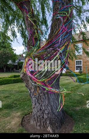 Rainbow ribbons tied around a tree trunk in support of the NHS during the Covid 19 pandemic, Northamptonshire, UK Stock Photo