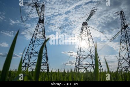high voltage power line with green grass. green energy concept of high voltage 