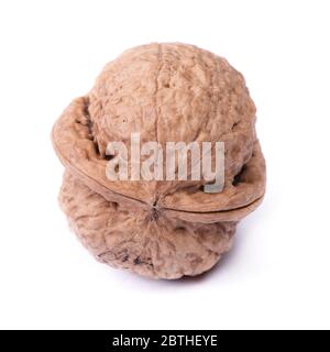 One big walnut isolated on white background Stock Photo