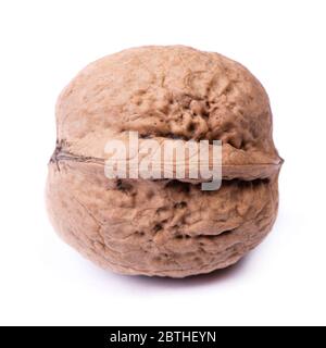 One big walnut isolated on white background Stock Photo