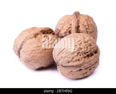 Few big walnuts isolated on white background Stock Photo