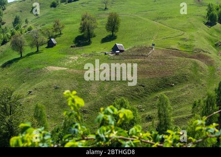 The Country of the Shepherds. Panoramic view over Cindrel Mountains, Paltinis area, Sibiu county, Romania Stock Photo