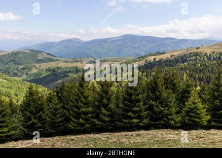 The Country of the Shepherds. Panoramic view over Cindrel Mountains, Paltinis area, Sibiu county, Romania Stock Photo