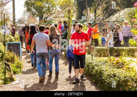 Johannesburg, South Africa - May 24, 2015: Crowds of diverse people walking through plant nursery garden at outdoor farmer's market Stock Photo