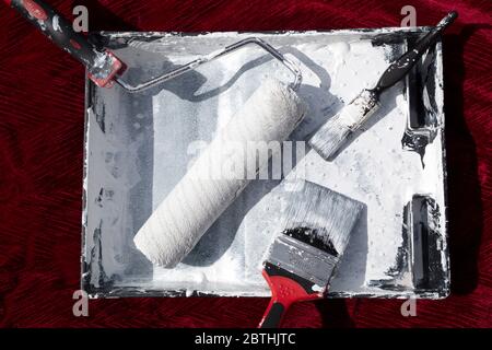 A roller and paint brushes in a paint tray. The are used to apply paint onto walls during home improvement. Stock Photo