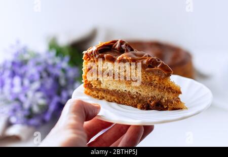 Female hand holds a plate with a slice of homemade honey cake. Close up. Stock Photo
