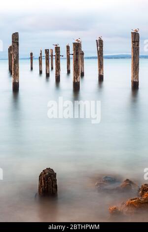 A long exposure of the jetty ruins located on the Myponga beach on the Fleurieu Peninsula South Australia on the 24th May 2020 Stock Photo