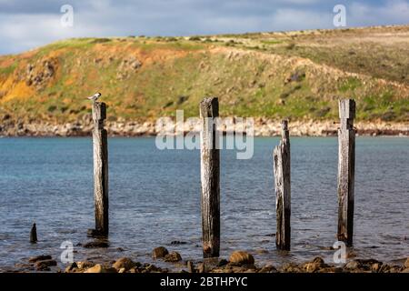 The iconic jetty ruins located on the Myponga beach on the Fleurieu Peninsula South Australia on the 24th May 2020 Stock Photo