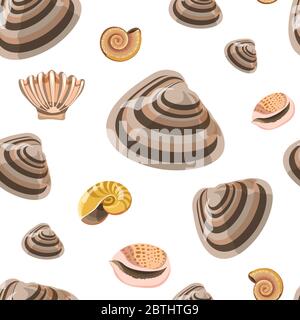 Marine conches and shells, sealife seamless pattern vector Stock Vector