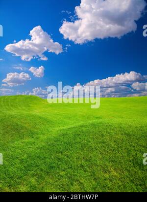 Green grass field on small hills and blue sky with clouds Stock Photo