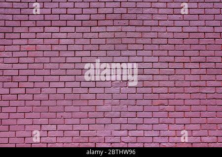 Purple painted brick wall Stock Photo