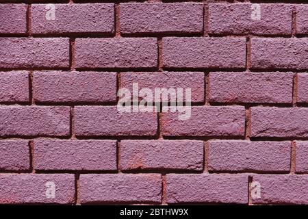 Purple painted brick wall Stock Photo