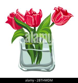 illustration of the illustration of the pink tulips in the vase on the white background Stock Vector