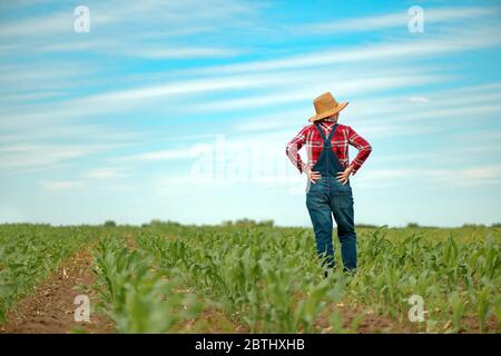 Rear view of corn farmer with bib overalls looking over proudly at her ...